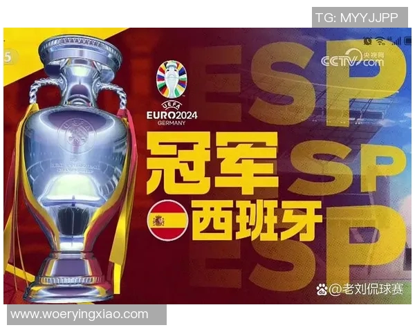 欧洲杯赛事安全管理及突发事件应对 欧洲杯赛事安全管理及突发事件应对